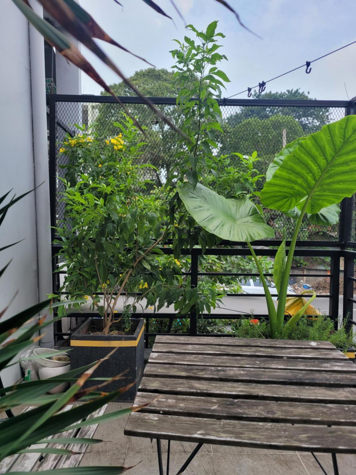 Agk House - Homestay - 406 Xo Viet Nghe Tinh, P25, Binh Thanh, Gan Nga 4 Hang Xanh Хошимин Экстерьер фото